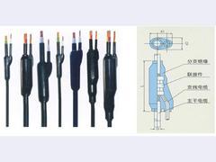 西北眾邦電線電纜 品質(zhì)與技術并重的專業(yè)代理選擇